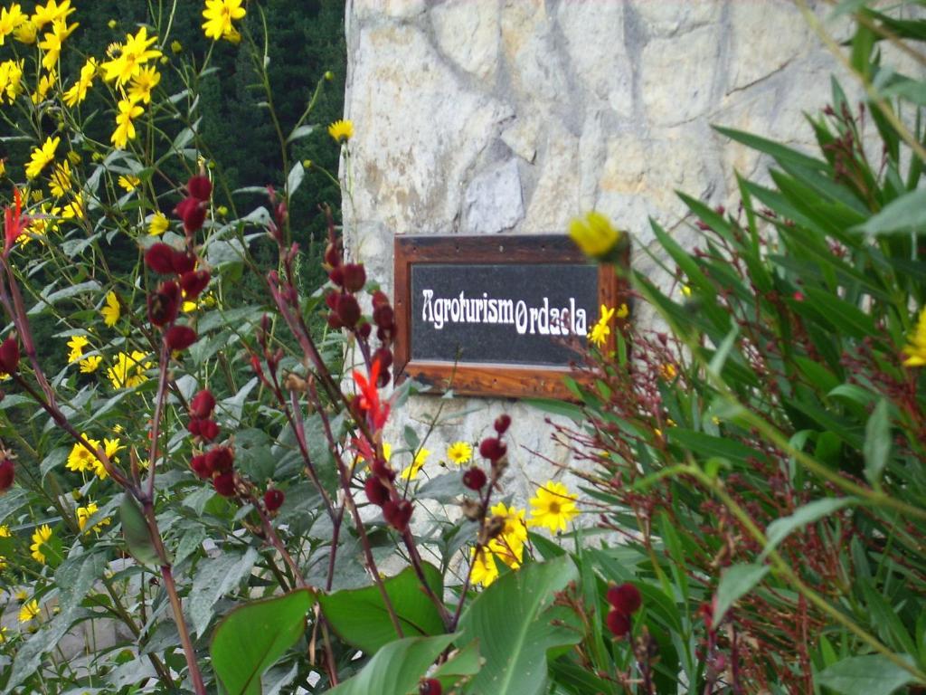 Agroturismo Ordaola アロンソテギ エクステリア 写真